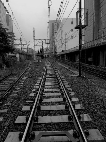 第四日(明治神宮) | 第一次一人邁向黑仔露營之旅 | 旅遊 露營 跑山 跑步 運動 水上活動 | Hidy Chan | hidychan.com