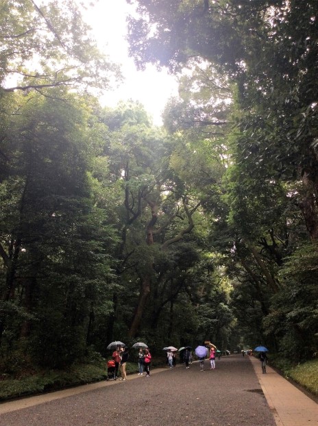第四日(明治神宮) | 第一次一人邁向黑仔露營之旅 | 旅遊 露營 跑山 跑步 運動 水上活動 | Hidy Chan | hidychan.com
