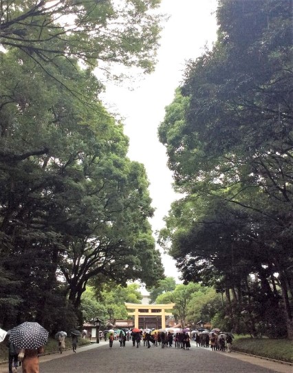 第四日(明治神宮) | 第一次一人邁向黑仔露營之旅 | 旅遊 露營 跑山 跑步 運動 水上活動 | Hidy Chan | hidychan.com