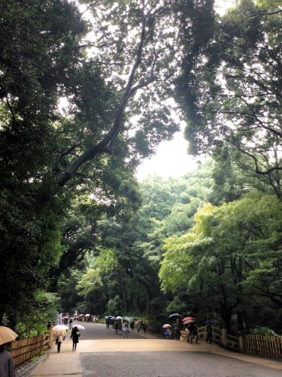 第四日(明治神宮) | 第一次一人邁向黑仔露營之旅 | 旅遊 露營 跑山 跑步 運動 水上活動 | Hidy Chan | hidychan.com