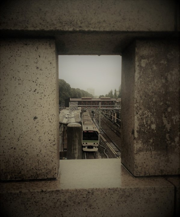 第四日(原宿) | 第一次一人邁向黑仔露營之旅 | 旅遊 露營 跑山 跑步 運動 水上活動 | Hidy Chan | hidychan.com
