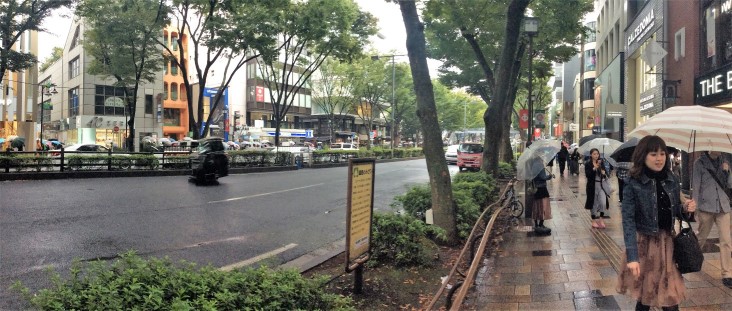 第四日(原宿) | 第一次一人邁向黑仔露營之旅 | 旅遊 露營 跑山 跑步 運動 水上活動 | Hidy Chan | hidychan.com