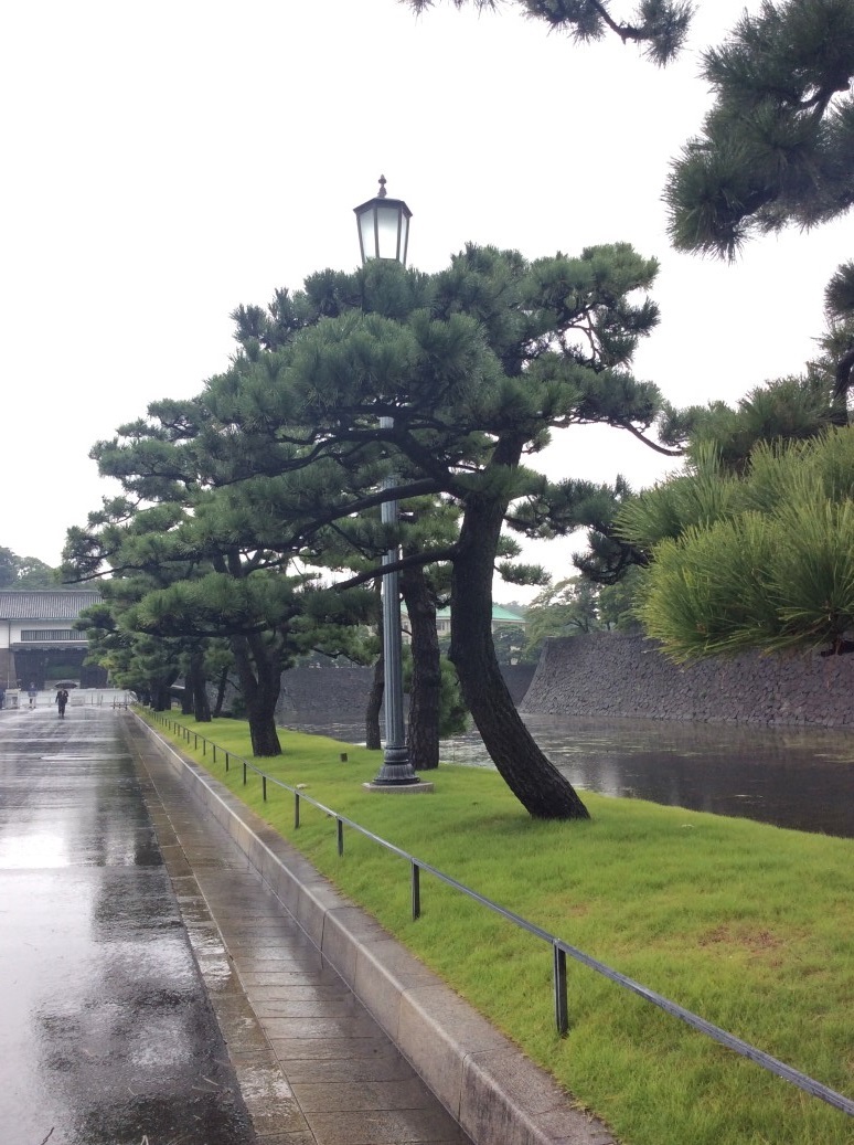 第六日(皇宮) | 第一次一人邁向黑仔露營之旅 | 旅遊 露營 跑山 跑步 運動 水上活動 | Hidy Chan | hidychan.com