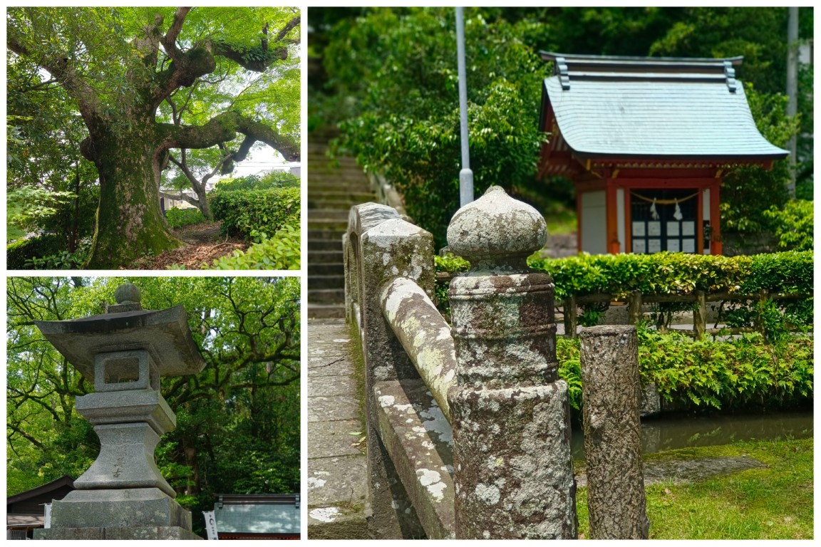 鹿児島神宮 | 玩盡日本全九州 | 旅遊 露營 跑山 跑步 運動 水上活動 | Hidy Chan | hidychan.com