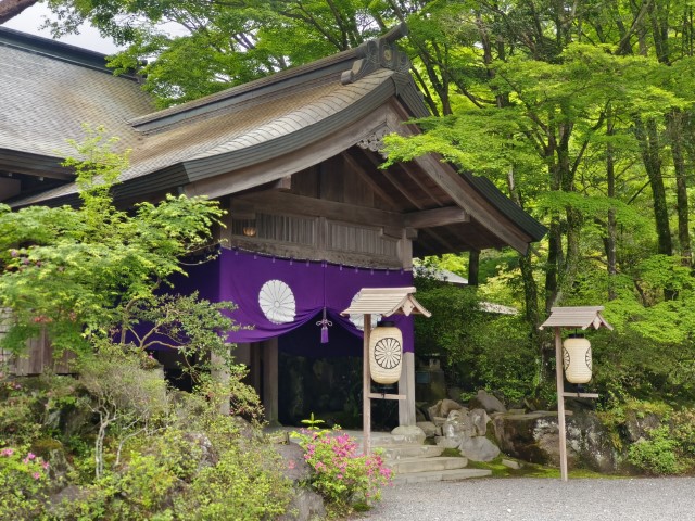 霧島神宮 | 玩盡日本全九州 | 旅遊 露營 跑山 跑步 運動 水上活動 | Hidy Chan | hidychan.com