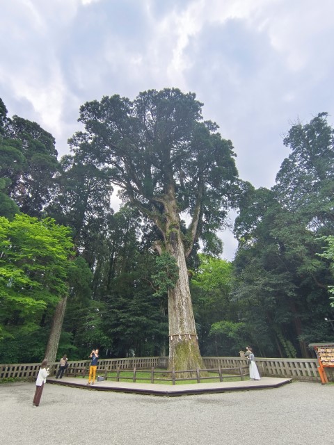 霧島神宮 | 玩盡日本全九州 | 旅遊 露營 跑山 跑步 運動 水上活動 | Hidy Chan | hidychan.com