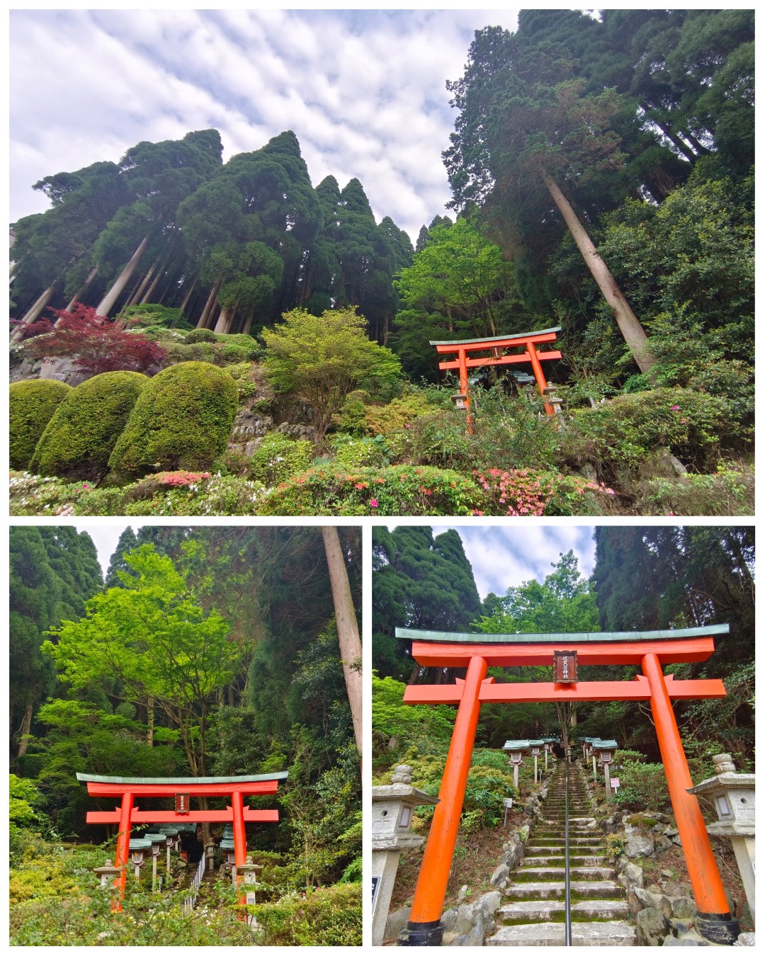 百年杉庭園 | 玩盡日本全九州 | 旅遊 露營 跑山 跑步 運動 水上活動 | Hidy Chan | hidychan.com