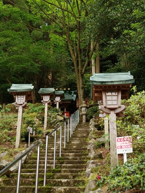 百年杉庭園 | 玩盡日本全九州 | 旅遊 露營 跑山 跑步 運動 水上活動 | Hidy Chan | hidychan.com