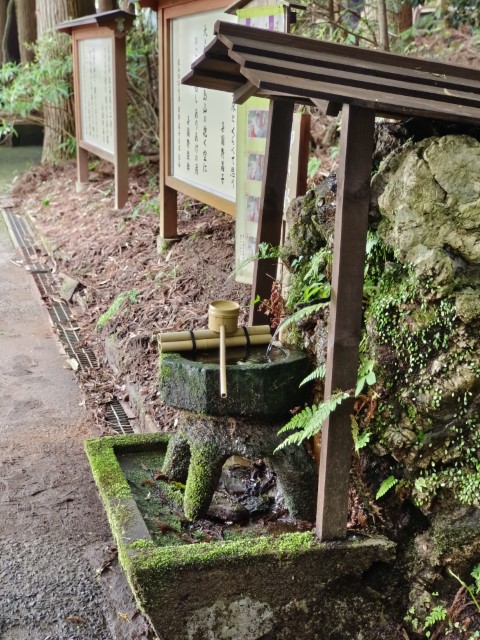 百年杉庭園 | 玩盡日本全九州 | 旅遊 露營 跑山 跑步 運動 水上活動 | Hidy Chan | hidychan.com