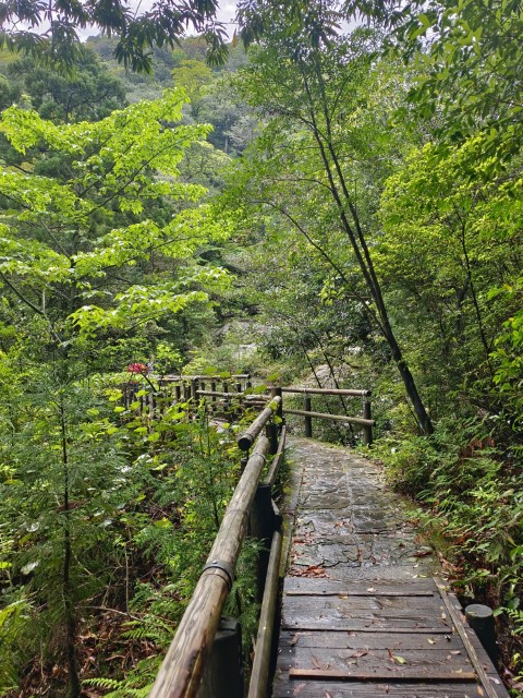 D1: 白谷雲水峡 > 白谷山荘 | 玩盡日本全九州 | 旅遊 露營 跑山 跑步 運動 水上活動 | Hidy Chan | hidychan.com