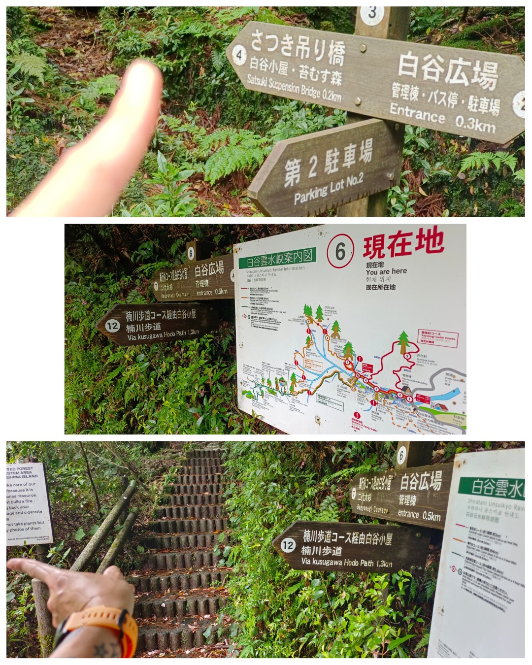 D1: 白谷雲水峡 > 白谷山荘 | 玩盡日本全九州 | 旅遊 露營 跑山 跑步 運動 水上活動 | Hidy Chan | hidychan.com