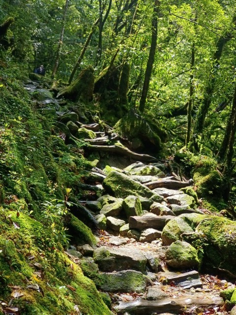 D1: 白谷雲水峡 > 白谷山荘 | 玩盡日本全九州 | 旅遊 露營 跑山 跑步 運動 水上活動 | Hidy Chan | hidychan.com