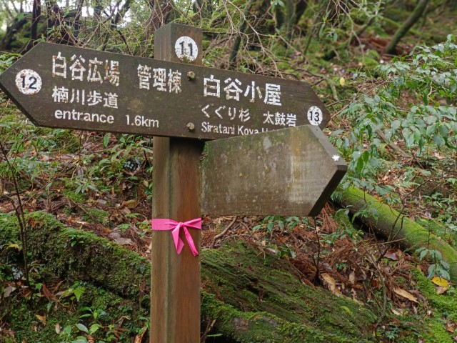 D1: 白谷雲水峡 > 白谷山荘 | 玩盡日本全九州 | 旅遊 露營 跑山 跑步 運動 水上活動 | Hidy Chan | hidychan.com