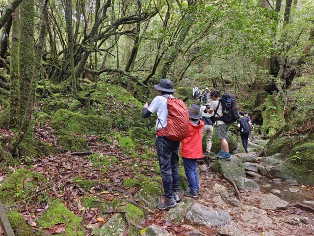 D1: 白谷山荘 > 太鼓岩 | 玩盡日本全九州 | 旅遊 露營 跑山 跑步 運動 水上活動 | Hidy Chan | hidychan.com