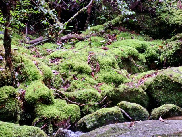 D1: 白谷山荘 > 太鼓岩 | 玩盡日本全九州 | 旅遊 露營 跑山 跑步 運動 水上活動 | Hidy Chan | hidychan.com