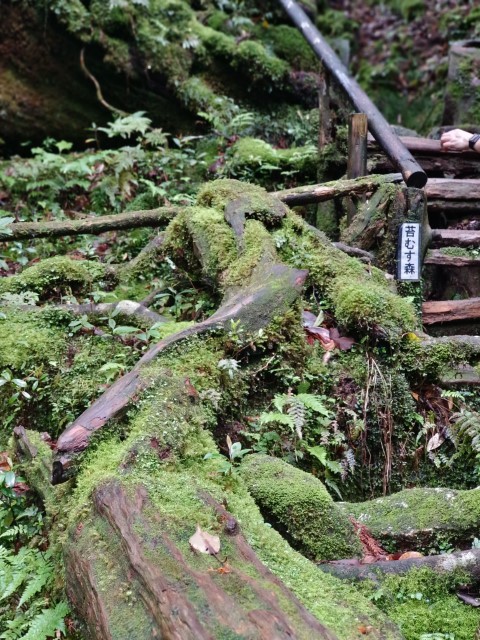 D1: 白谷山荘 > 太鼓岩 | 玩盡日本全九州 | 旅遊 露營 跑山 跑步 運動 水上活動 | Hidy Chan | hidychan.com