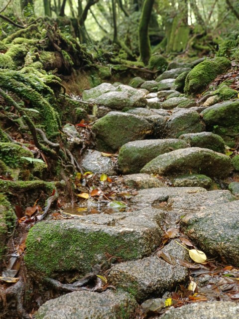 D1: 白谷山荘 > 太鼓岩 | 玩盡日本全九州 | 旅遊 露營 跑山 跑步 運動 水上活動 | Hidy Chan | hidychan.com