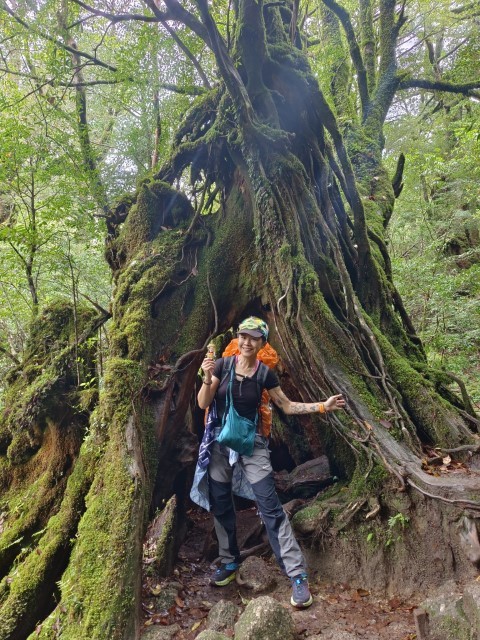 D1: 白谷山荘 > 太鼓岩 | 玩盡日本全九州 | 旅遊 露營 跑山 跑步 運動 水上活動 | Hidy Chan | hidychan.com