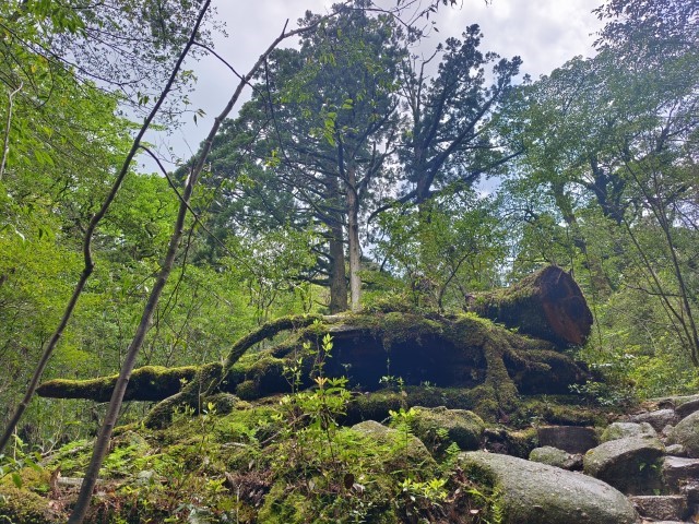 D1: 白谷山荘 > 太鼓岩 | 玩盡日本全九州 | 旅遊 露營 跑山 跑步 運動 水上活動 | Hidy Chan | hidychan.com