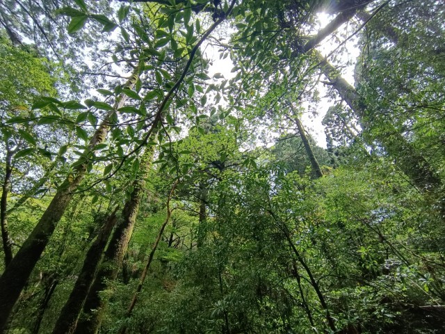 D1: 白谷山荘 > 太鼓岩 | 玩盡日本全九州 | 旅遊 露營 跑山 跑步 運動 水上活動 | Hidy Chan | hidychan.com