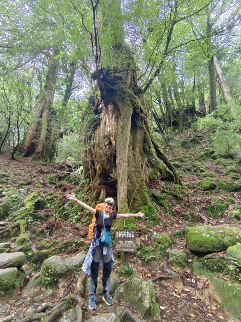 D1: 白谷山荘 > 太鼓岩 | 玩盡日本全九州 | 旅遊 露營 跑山 跑步 運動 水上活動 | Hidy Chan | hidychan.com