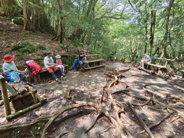 D1: 白谷山荘 > 太鼓岩 | 玩盡日本全九州 | 旅遊 露營 跑山 跑步 運動 水上活動 | Hidy Chan | hidychan.com