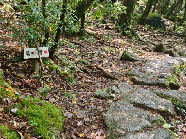 D1: 白谷山荘 > 太鼓岩 | 玩盡日本全九州 | 旅遊 露營 跑山 跑步 運動 水上活動 | Hidy Chan | hidychan.com