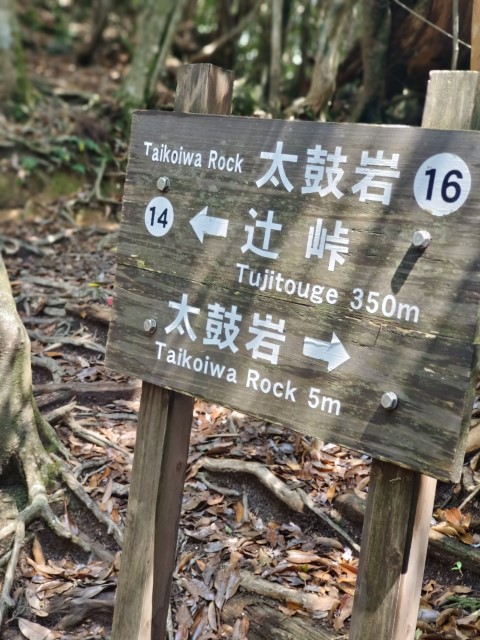 D1: 白谷山荘 > 太鼓岩 | 玩盡日本全九州 | 旅遊 露營 跑山 跑步 運動 水上活動 | Hidy Chan | hidychan.com