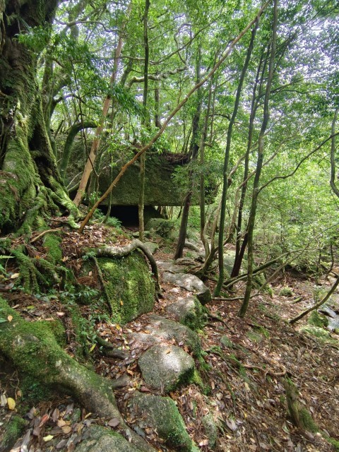 D1: 太鼓岩 > 高塚小屋 | 玩盡日本全九州 | 旅遊 露營 跑山 跑步 運動 水上活動 | Hidy Chan | hidychan.com