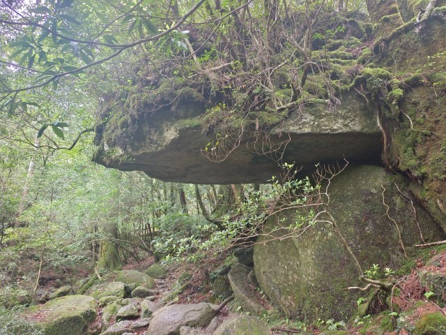 D1: 太鼓岩 > 高塚小屋 | 玩盡日本全九州 | 旅遊 露營 跑山 跑步 運動 水上活動 | Hidy Chan | hidychan.com