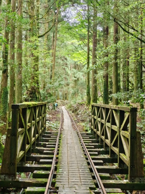 D1: 太鼓岩 > 高塚小屋 | 玩盡日本全九州 | 旅遊 露營 跑山 跑步 運動 水上活動 | Hidy Chan | hidychan.com