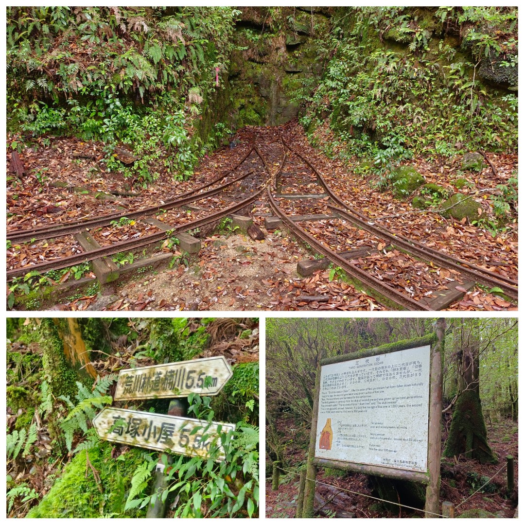 D1: 太鼓岩 > 高塚小屋 | 玩盡日本全九州 | 旅遊 露營 跑山 跑步 運動 水上活動 | Hidy Chan | hidychan.com