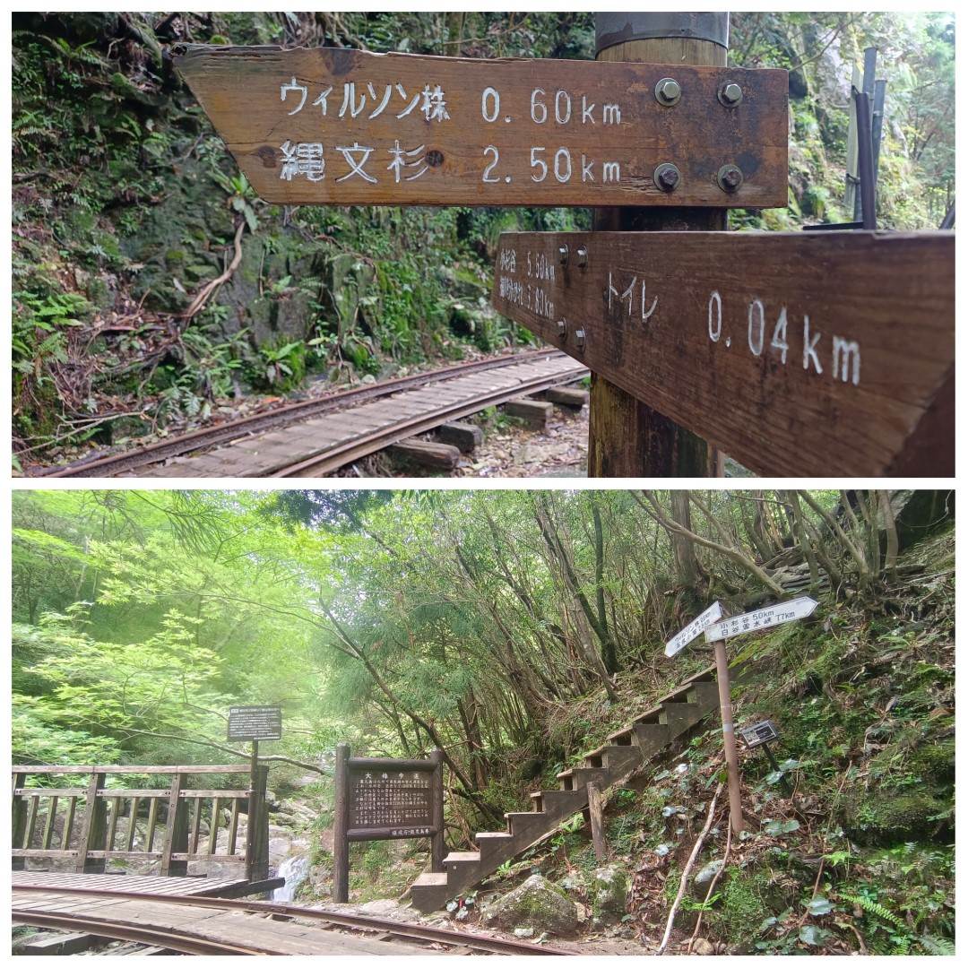 D1: 太鼓岩 > 高塚小屋 | 玩盡日本全九州 | 旅遊 露營 跑山 跑步 運動 水上活動 | Hidy Chan | hidychan.com