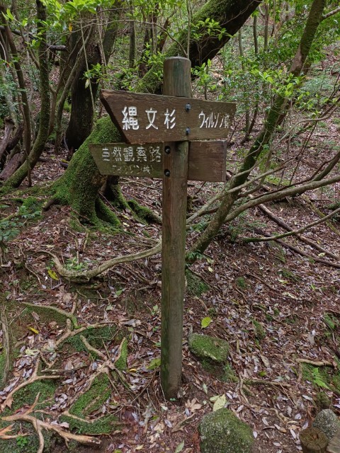 D1: 太鼓岩 > 高塚小屋 | 玩盡日本全九州 | 旅遊 露營 跑山 跑步 運動 水上活動 | Hidy Chan | hidychan.com