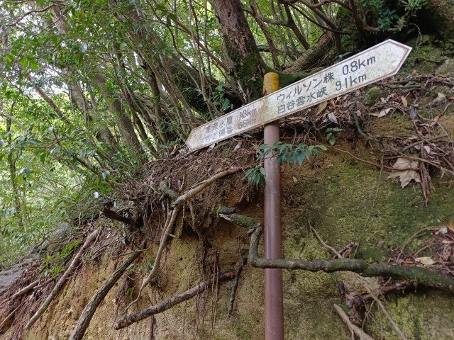 D1: 太鼓岩 > 高塚小屋 | 玩盡日本全九州 | 旅遊 露營 跑山 跑步 運動 水上活動 | Hidy Chan | hidychan.com