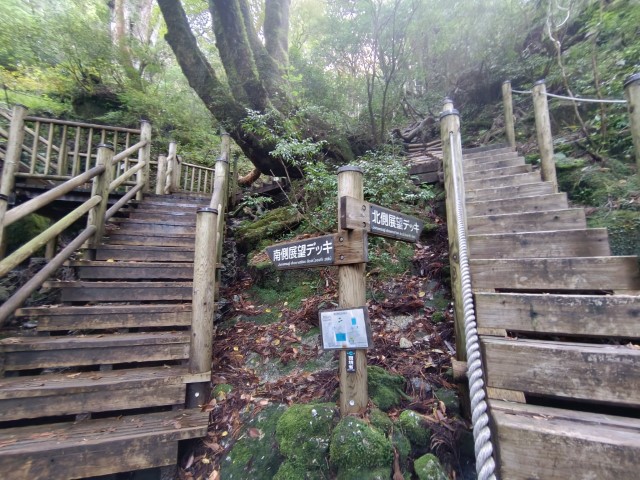 D1: 太鼓岩 > 高塚小屋 | 玩盡日本全九州 | 旅遊 露營 跑山 跑步 運動 水上活動 | Hidy Chan | hidychan.com