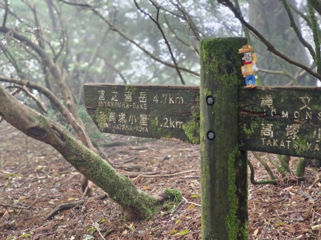 D2: 高塚小屋 > 平石岩屋 | 玩盡日本全九州 | 旅遊 露營 跑山 跑步 運動 水上活動 | Hidy Chan | hidychan.com