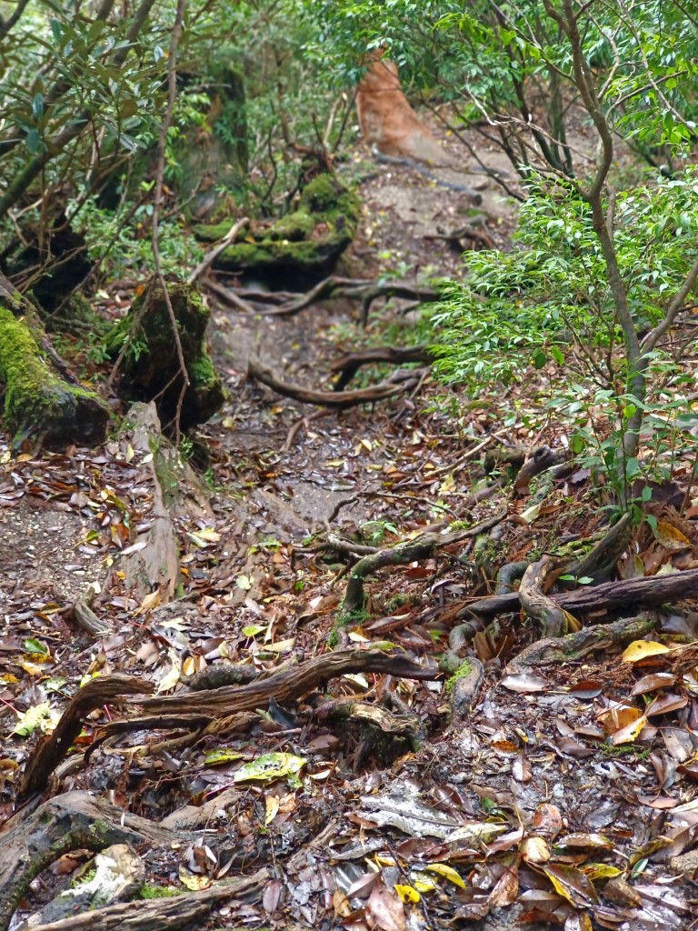 D2: 高塚小屋 > 平石岩屋 | 玩盡日本全九州 | 旅遊 露營 跑山 跑步 運動 水上活動 | Hidy Chan | hidychan.com