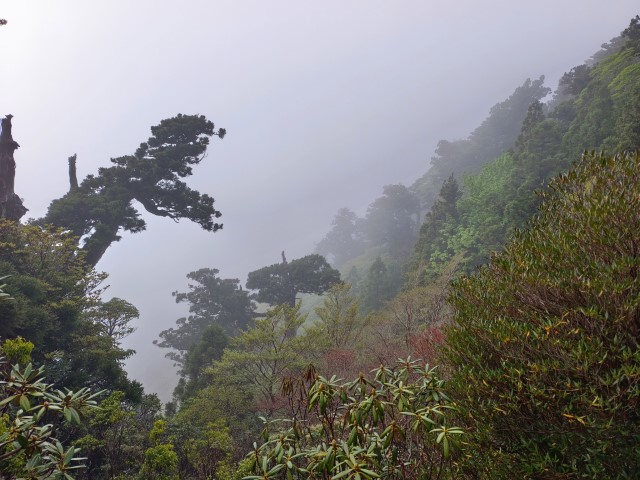 D2: 高塚小屋 > 平石岩屋 | 玩盡日本全九州 | 旅遊 露營 跑山 跑步 運動 水上活動 | Hidy Chan | hidychan.com