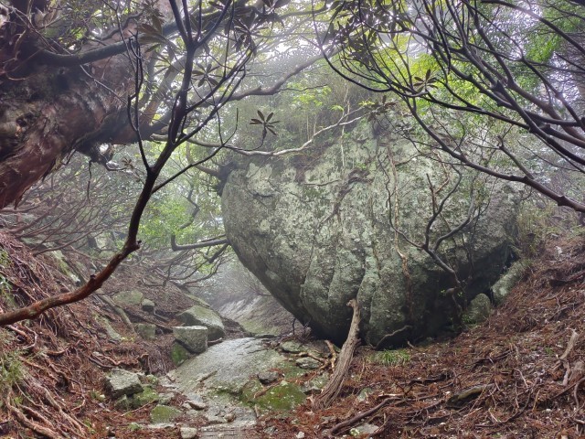 D2: 高塚小屋 > 平石岩屋 | 玩盡日本全九州 | 旅遊 露營 跑山 跑步 運動 水上活動 | Hidy Chan | hidychan.com