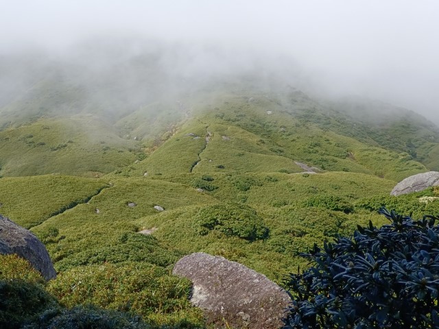 D2: 平石岩屋 > 宮之浦岳 (攻頂) | 玩盡日本全九州 | 旅遊 露營 跑山 跑步 運動 水上活動 | Hidy Chan | hidychan.com