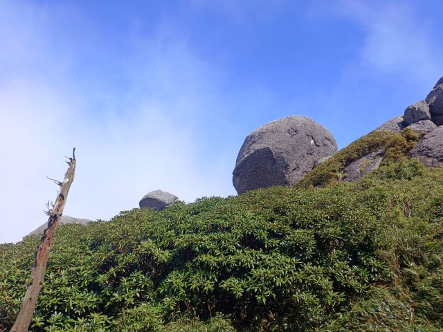 D2: 平石岩屋 > 宮之浦岳 (攻頂) | 玩盡日本全九州 | 旅遊 露營 跑山 跑步 運動 水上活動 | Hidy Chan | hidychan.com