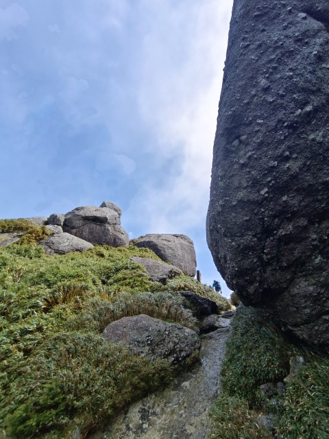 D2: 平石岩屋 > 宮之浦岳 (攻頂) | 玩盡日本全九州 | 旅遊 露營 跑山 跑步 運動 水上活動 | Hidy Chan | hidychan.com