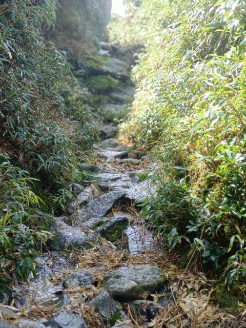 D2: 平石岩屋 > 宮之浦岳 (攻頂) | 玩盡日本全九州 | 旅遊 露營 跑山 跑步 運動 水上活動 | Hidy Chan | hidychan.com