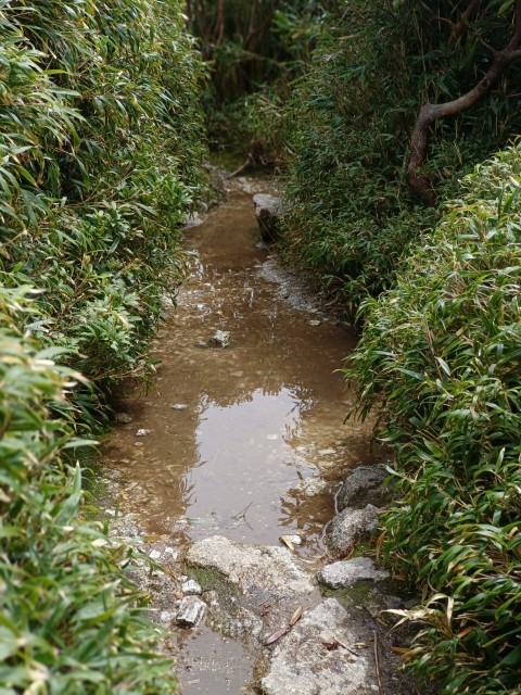 D2: 宮之浦岳 > 花之江河 | 玩盡日本全九州 | 旅遊 露營 跑山 跑步 運動 水上活動 | Hidy Chan | hidychan.com