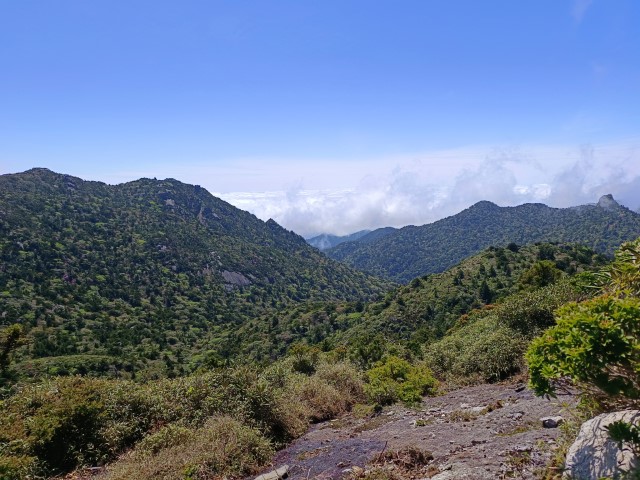 D2: 宮之浦岳 > 花之江河 | 玩盡日本全九州 | 旅遊 露營 跑山 跑步 運動 水上活動 | Hidy Chan | hidychan.com