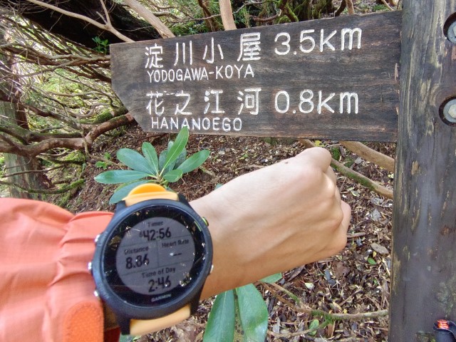 D2: 宮之浦岳 > 花之江河 | 玩盡日本全九州 | 旅遊 露營 跑山 跑步 運動 水上活動 | Hidy Chan | hidychan.com