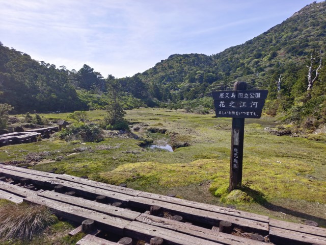 D2: 宮之浦岳 > 花之江河 | 玩盡日本全九州 | 旅遊 露營 跑山 跑步 運動 水上活動 | Hidy Chan | hidychan.com