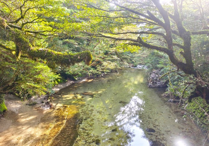 D2: 花之江河 > 淀川避難小屋 | 玩盡日本全九州 | 旅遊 露營 跑山 跑步 運動 水上活動 | Hidy Chan | hidychan.com