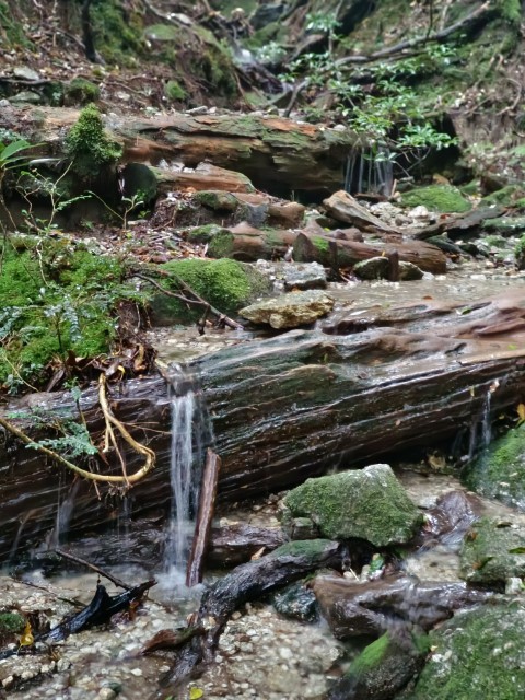 D3: 淀川避難小屋 > 淀川登山口 | 玩盡日本全九州 | 旅遊 露營 跑山 跑步 運動 水上活動 | Hidy Chan | hidychan.com